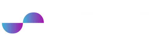 Vizage MX